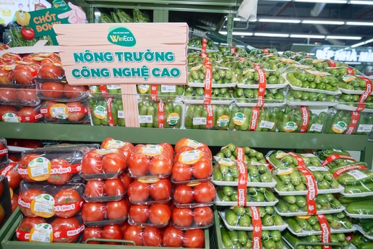 WinMart ra mắt nhiều siêu thị mô hình mới tại các thành phố lớn