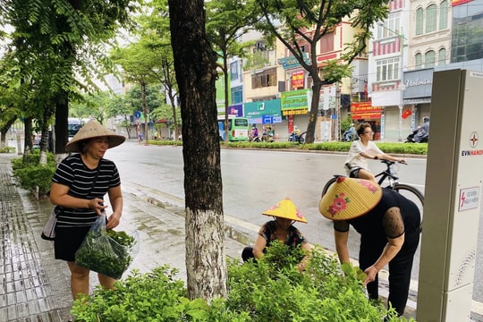 Hà Nội: Phụ nữ phường Ngọc Hà lan tỏa phong trào “Ngày cuối tuần xanh”