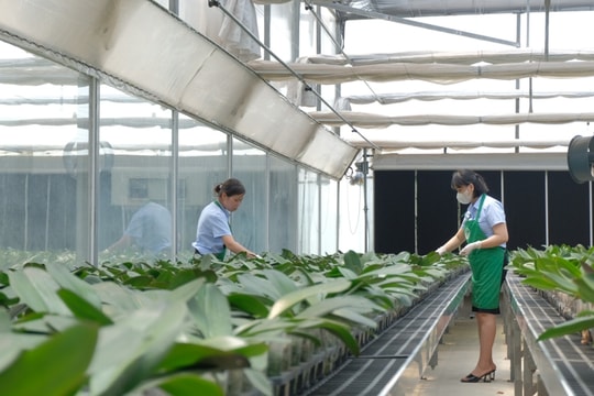 Đảng bộ Sở Nông nghiệp và Môi trường Hà Nội: Phát triển nông nghiệp xanh, tài nguyên bền vững