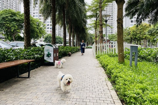 Cần hình thành “văn hóa nuôi thú cưng” trong chung cư