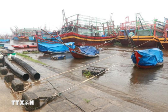 Quảng Ninh cấm biển, ngừng cấp phép tàu ra khơi từ 13h ngày 18-8