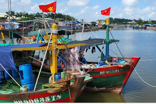 Hải Phòng: Dỡ bỏ lệnh cấm tàu, thuyền ra khơi