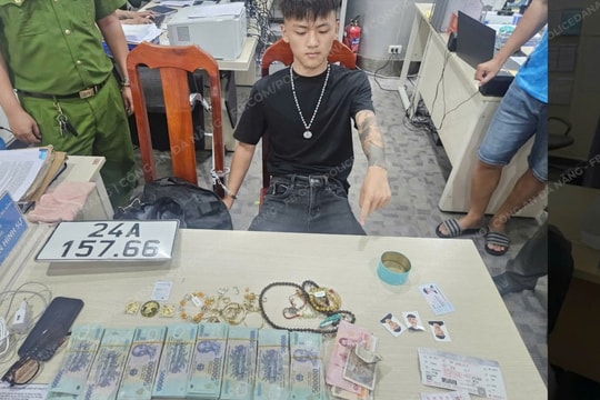 Đà Nẵng: Triệt phá nhanh vụ trộm cắp tài sản đặc biệt nghiêm trọng