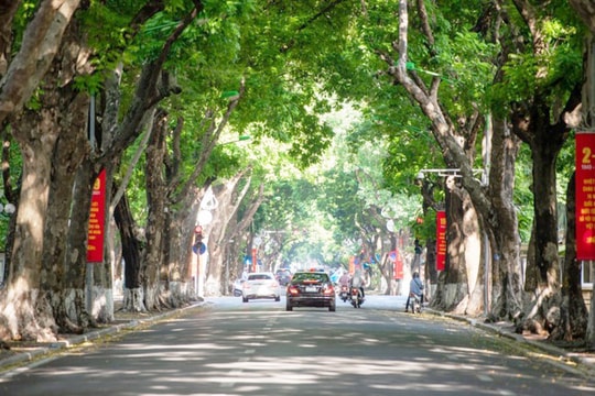 Bắc Bộ ngày nắng gián đoạn, vùng núi có mưa to về chiều và đêm
