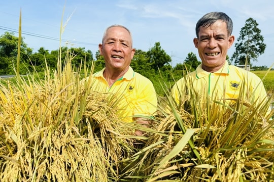 Bình Điền: Hành trình hơn nửa thế kỷ phụng sự nông dân và tầm nhìn xanh hóa - số hóa