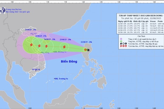 Chủ động ứng phó áp thấp nhiệt đới có khả năng mạnh lên thành bão