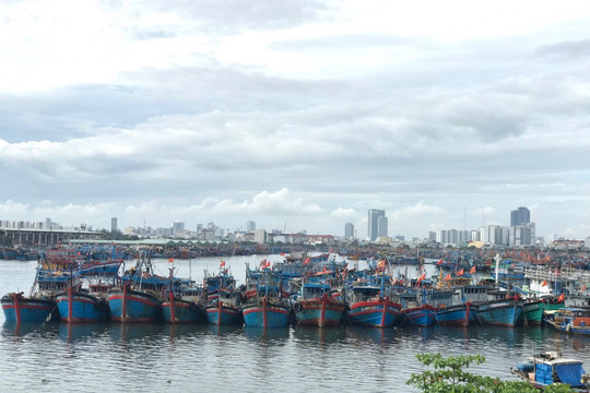 Đà Nẵng họp khẩn ứng phó với bão số 5