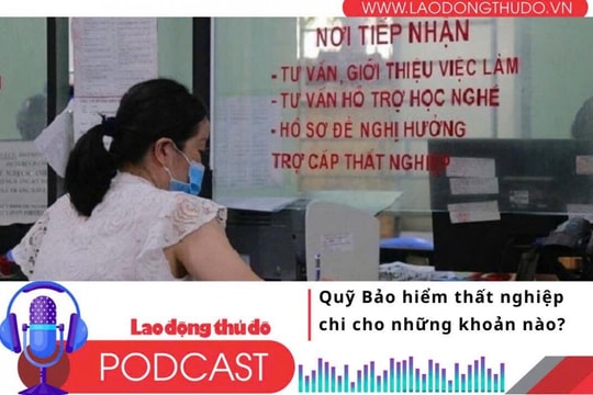 Quỹ Bảo hiểm thất nghiệp chi cho những khoản nào