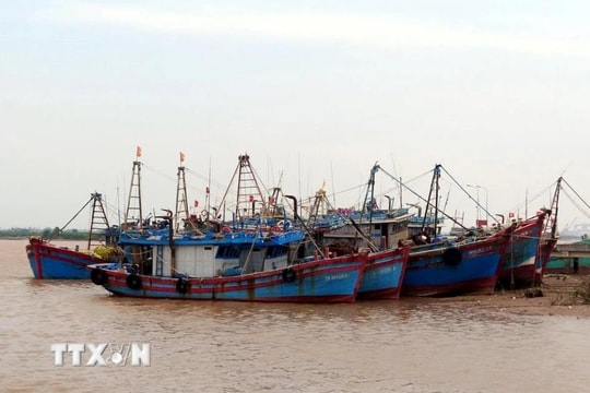 Triển khai Sở Chỉ huy tiền phương của Chính phủ phục vụ chỉ đạo ứng phó bão số 5