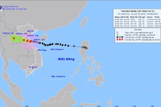 Bão số 5 suy yếu, đổ bộ Nghệ An - Hà Tĩnh, mưa to diện rộng