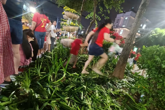 Hàng ngàn cây hoa hư hỏng do bị dẫm đạp sau hợp luyện diễu binh, diễu hành A80