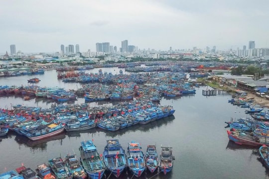 Thủ tướng yêu cầu tiếp tục triển khai quyết liệt công tác ứng phó bão số 5