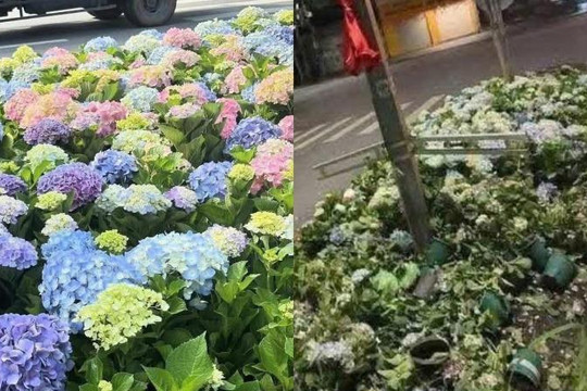 Công an Hà Nội sẽ xử lý nghiêm hành vi xả rác, giẫm nát cây hoa trong các buổi tổng hợp luyện
