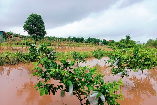 Xã Nam Phù ứng phó với úng ngập do mưa bão