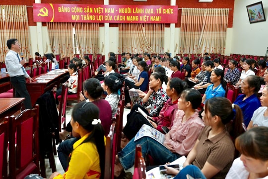 Bảo hiểm rủi ro thiên tai - điểm tựa cho lao động phi chính thức