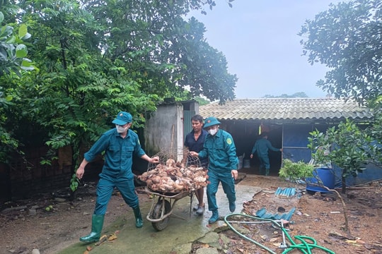 Xã Đoài Phương: Khu đồi Giếng bị sạt lở dài 30m