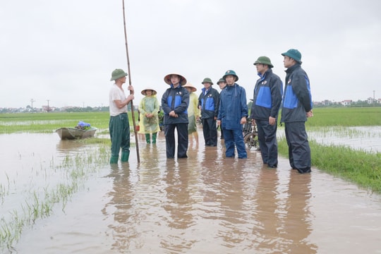 Xã Cổ Đô chủ động ứng phó mưa lớn, khắc phục úng ngập, sạt lở