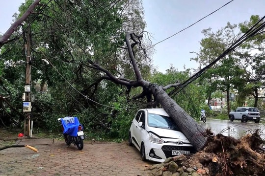 Nghệ An thiệt hại khoảng 1.393 tỷ đồng do bão số 5