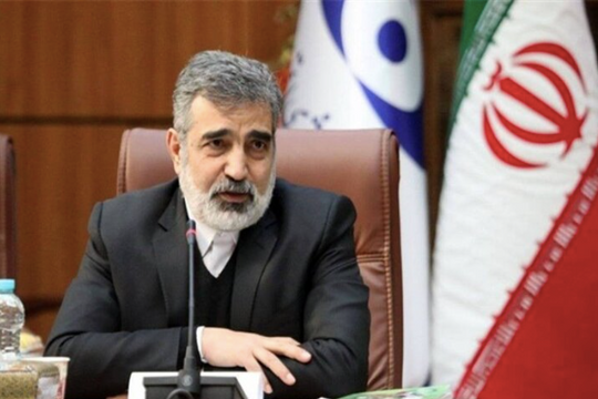 IAEA giám sát việc tiếp nhiên liệu cho nhà máy điện hạt nhân Bushehr của Iran