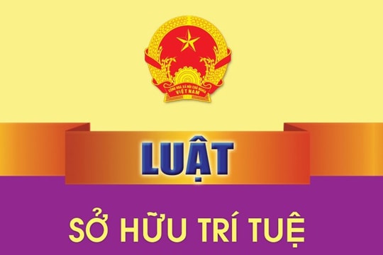 Đề xuất 5 nhóm chính sách sửa đổi, bổ sung một số điều của Luật Sở hữu trí tuệ