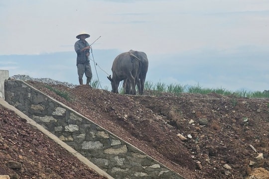 Đà Nẵng: Nhà thầu sử dụng vật liệu phong hóa thi công nền đường?