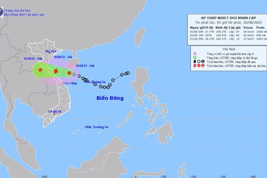 Hà Nội mưa lớn diện rộng kèm dông lốc