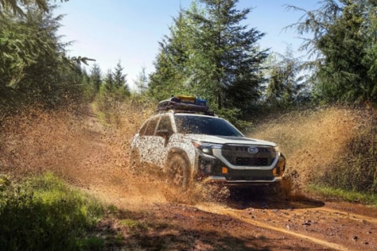 Subaru Forester Wilderness 2026 chính thức được chốt giá, từ 1,01 tỷ VNĐ