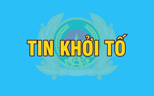 Khởi tố, bắt tạm giam Cục trưởng Cục An toàn thực phẩm Trần Việt Nga