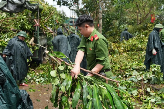 Gia Lai: Tích cực khắc phục sự cố do mưa bão để người dân đón Tết Độc lập