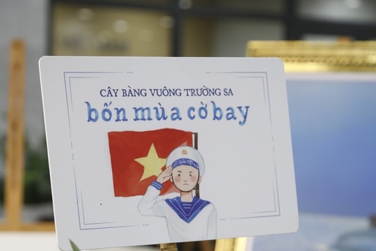 Việt Nam, Việt Nam
