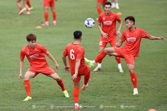 Đội tuyển Việt Nam không thi đấu quốc tế dịp FIFA days tháng 9