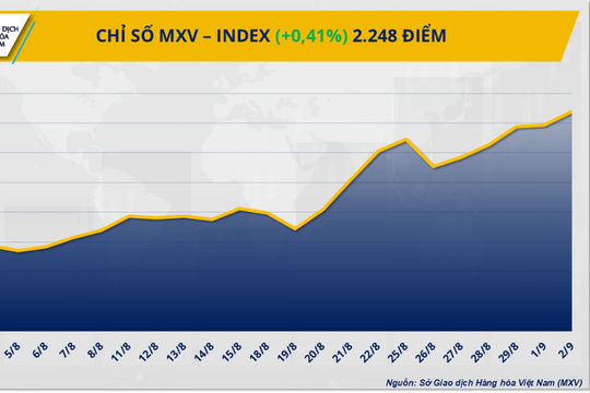 Dòng tiền chảy mạnh đẩy MXV-Index lên đỉnh gần hai tháng