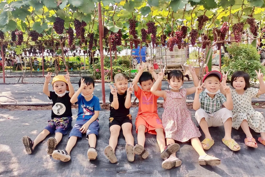 Nông nghiệp sinh thái: Kết nối đất đai, con người và thiên nhiên một cách bền vững