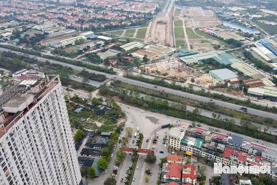 [Podcast] Tin tức ngày 4-9: Hàng nghìn cây xanh được dịch chuyển cho tuyến Vành đai 3,5