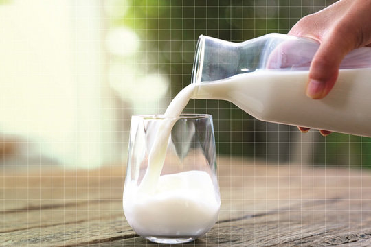 Uống sữa tươi bị tiêu chảy, vì sao?