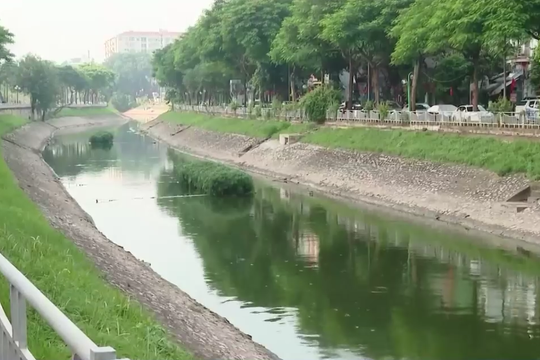 Nước sông Tô Lịch cải thiện sau dự án thu gom nước thải