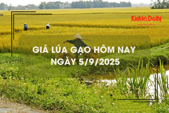 Giá lúa gạo hôm nay 5/9: giá gạo giảm nhẹ