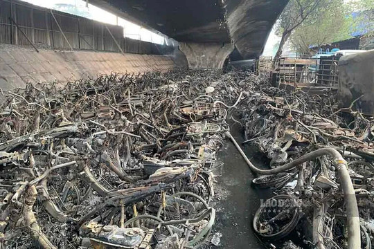 Khẩn trương làm rõ nguyên nhân, xử lý trách nhiệm vụ cháy bãi trông giữ xe dưới gầm cầu Vĩnh Tuy