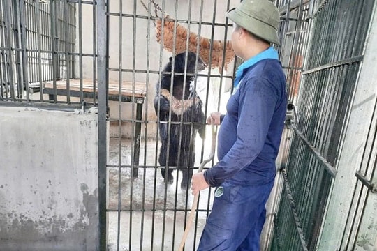 Trung tâm Cứu hộ động vật hoang dã Hà Nội: Nỗ lực bảo tồn đa dạng sinh học