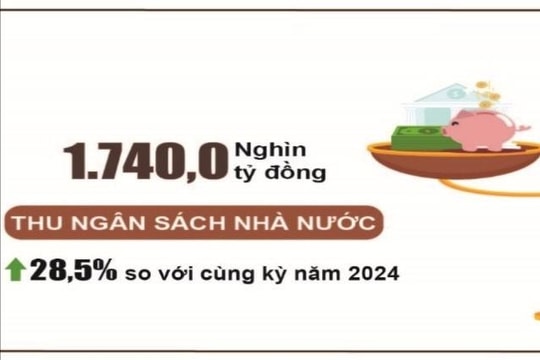 Thu ngân sách đạt 88,5% dự toán năm, tăng 28,5%