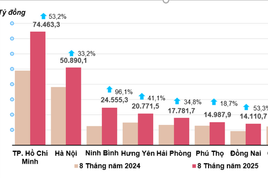 Vốn đầu tư thực hiện từ nguồn ngân sách đạt 48,3% kế hoạch