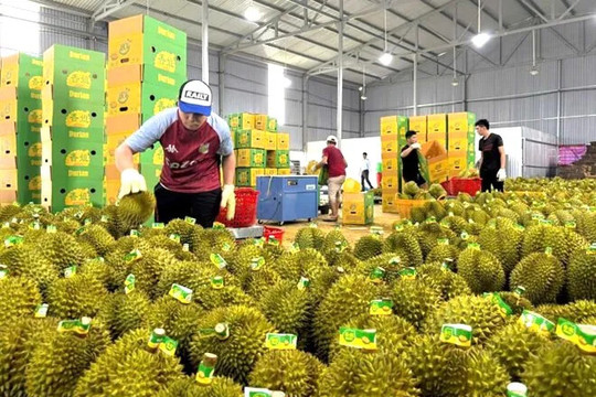 Thúc đẩy xuất khẩu, tạo động lực tăng trưởng kinh tế