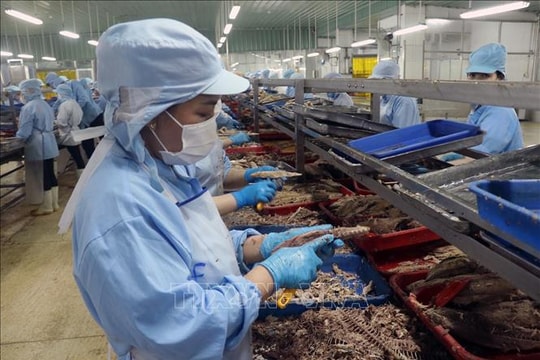 WB: Tăng trưởng kinh tế của Việt Nam vẫn vững vàng