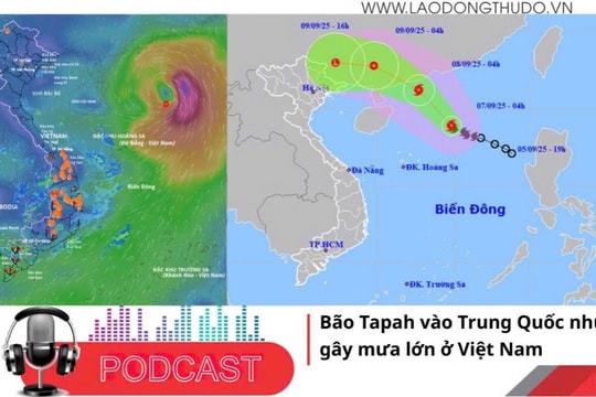 Điểm những tin nổi bật sáng ngày 8/9/2025: Bão Tapah vào Trung Quốc nhưng gây mưa lớn ở Việt Nam