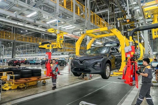 Khát vọng “sếu đầu đàn” - Động lực mới cho kinh tế tư nhân Việt Nam