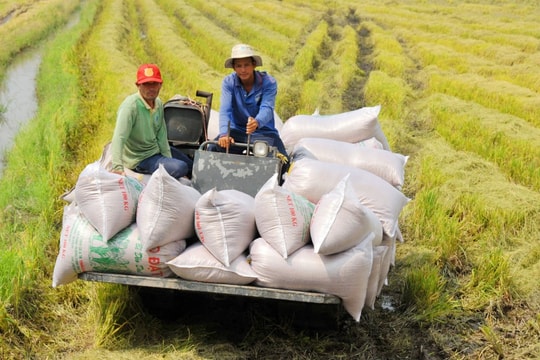 Nông nghiệp các tỉnh phía Nam khẳng định vai trò trụ cột