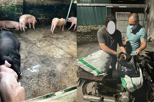 Hà Nội: công an xã ngăn chặn vụ tuồn thịt lợn nhiễm bệnh vào chợ dân sinh