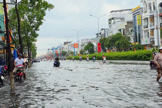 Cần Thơ rà soát để trao thưởng các sáng kiến chống ngập