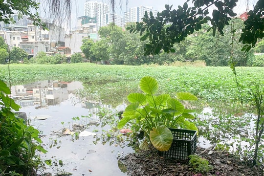 Phường Khương Đình: Dự án chậm tiến độ gần 10 năm do vướng giải phóng mặt bằng