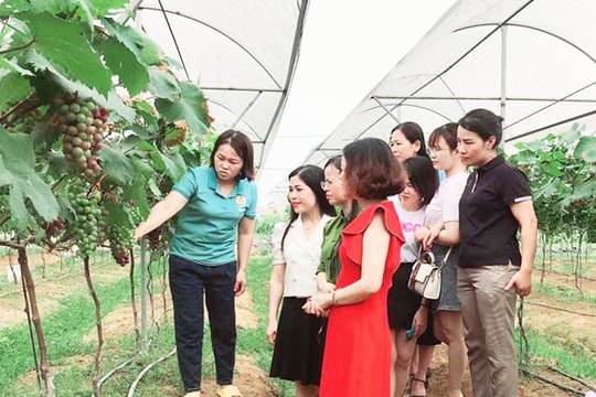 Xây dựng mô hình nông nghiệp mới thân thiện môi trường